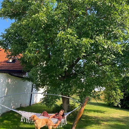 Holiday home V Obci Plese