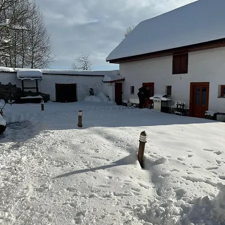 V Obci Pleše Prázdninový dům *